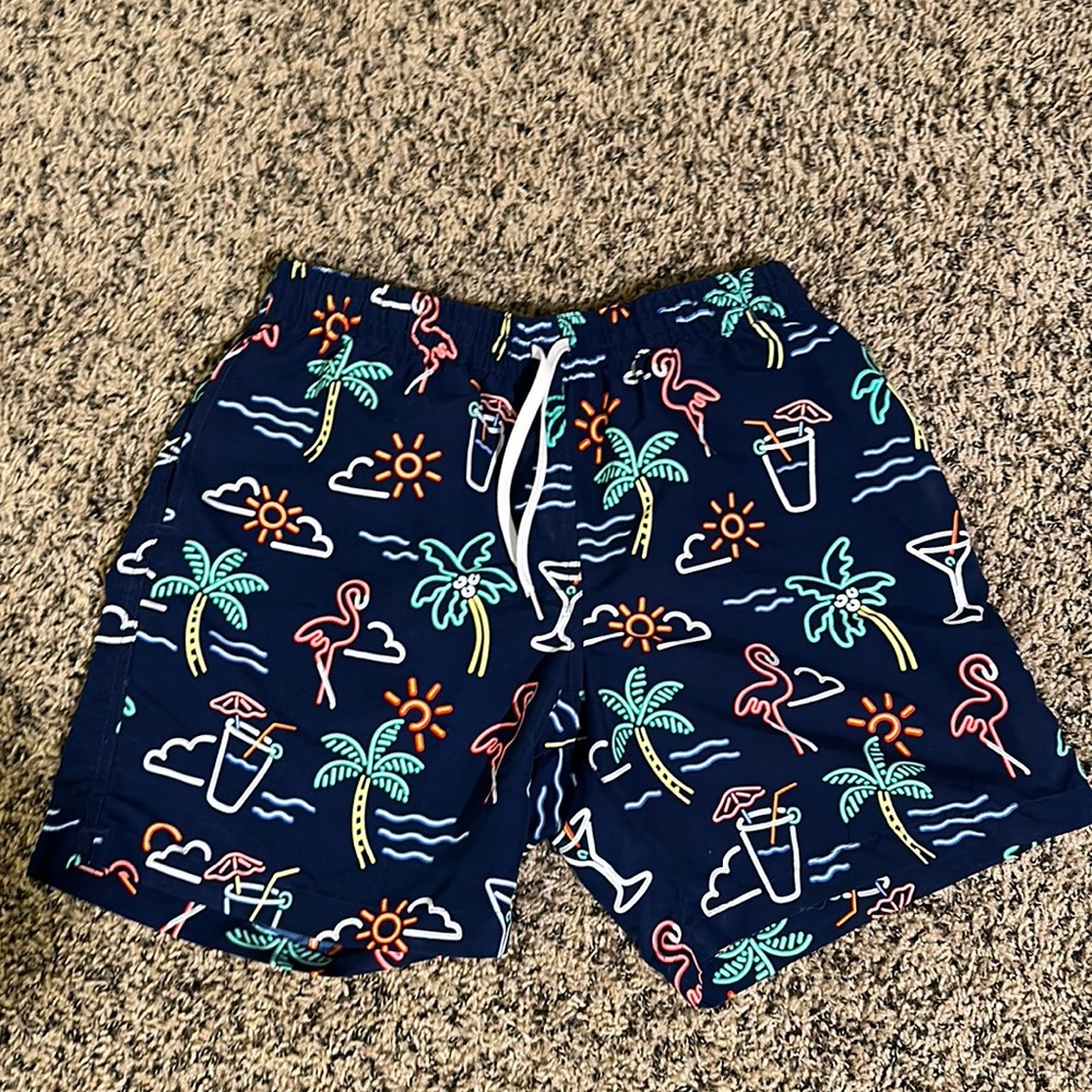 Chubbies men’s bathing suit